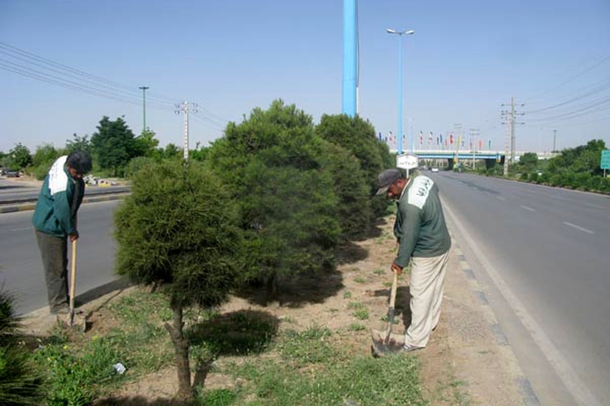پاک‌سازی ۲۸۰ هزار متر مربع فضای سبز کرمان از علف هرز