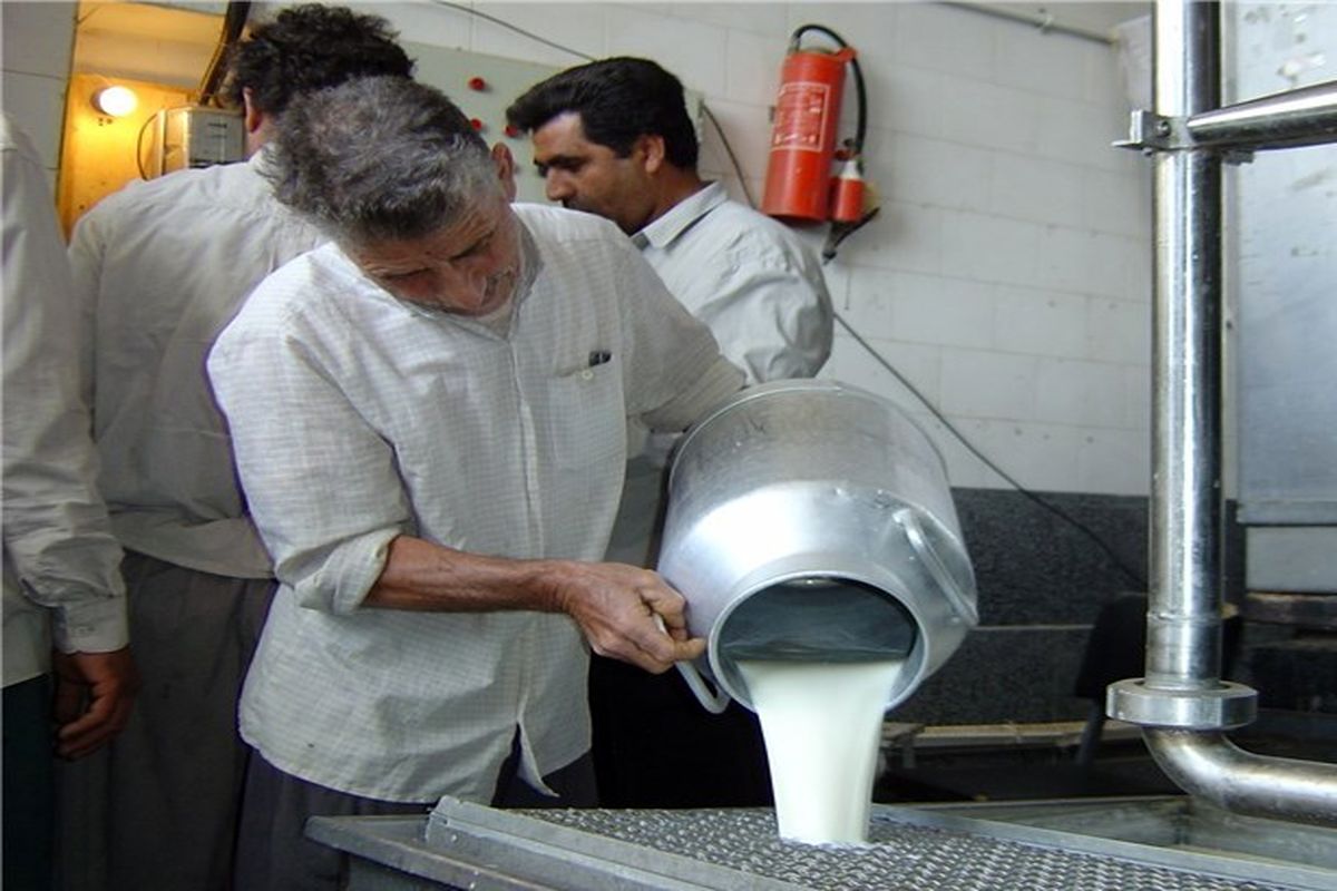 دولت پیگیر طرح حمایتی خرید شیر از دامداران