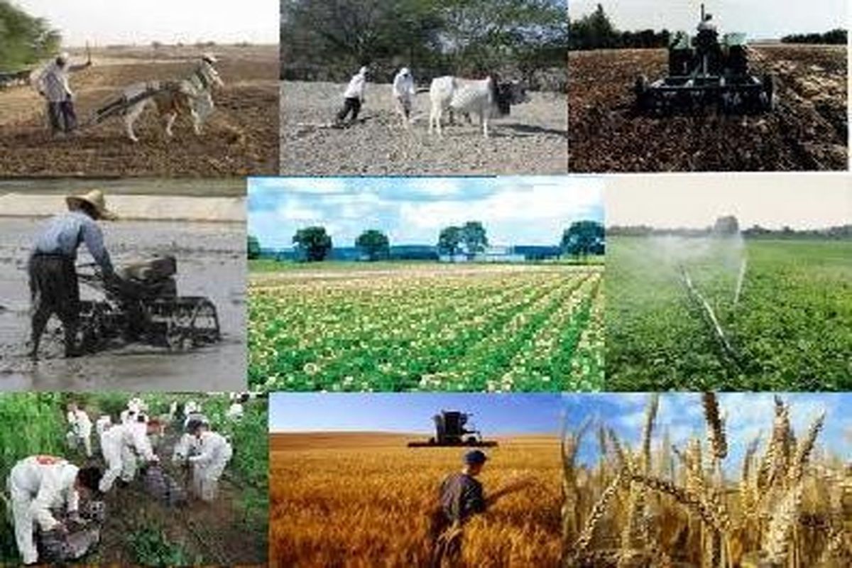 بهره برداری از ۲۰طرح کشاورزی در زاهدان
