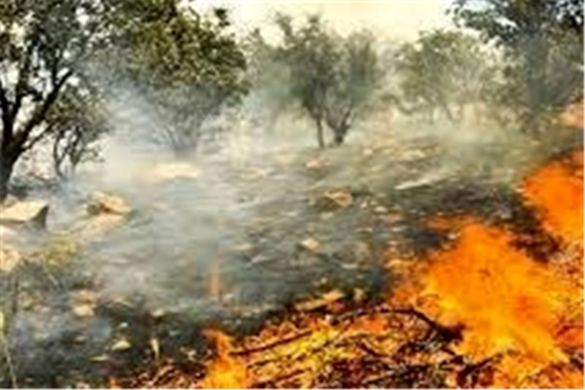 کاهش۴۲ درصدی آتش‌سوزی در مراتع و جنگل‌ها