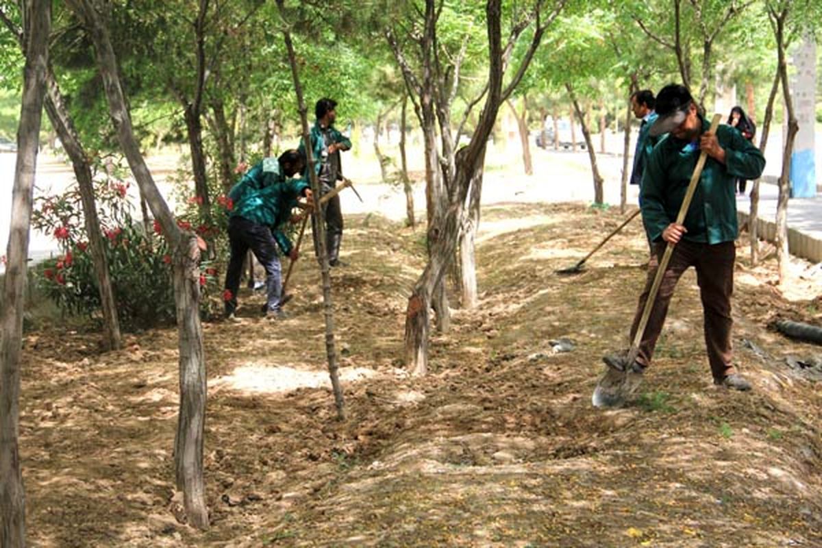 اجرای طرح محله سبز، ارگان سبز و مدرسه سبز در کرمان