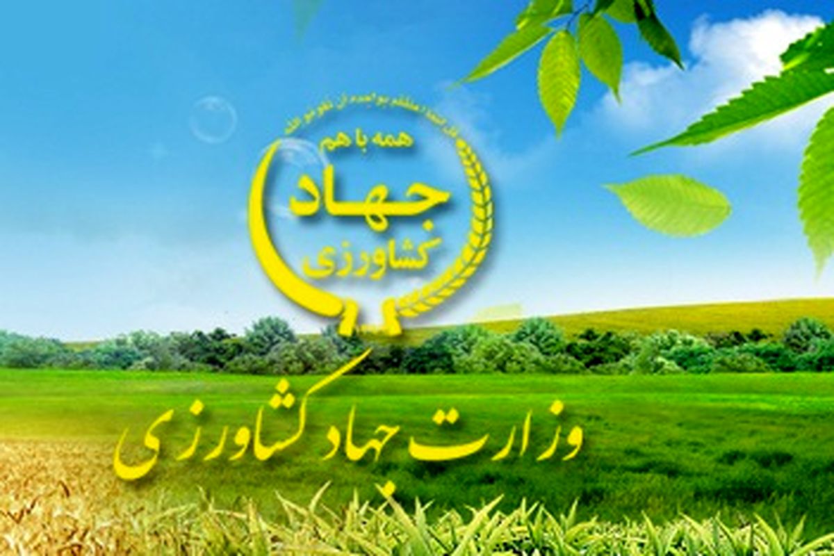 هفت طرح کشاورزی در ایرانشهر به بهره برداری رسید
