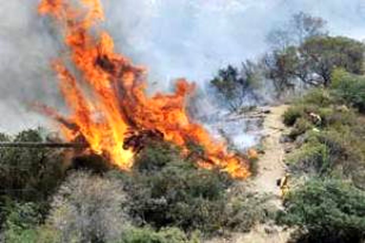 کاهش ۶۷ درصدی آتش‌سوزی در مراتع و جنگل‌های چهارمحال وبختیاری