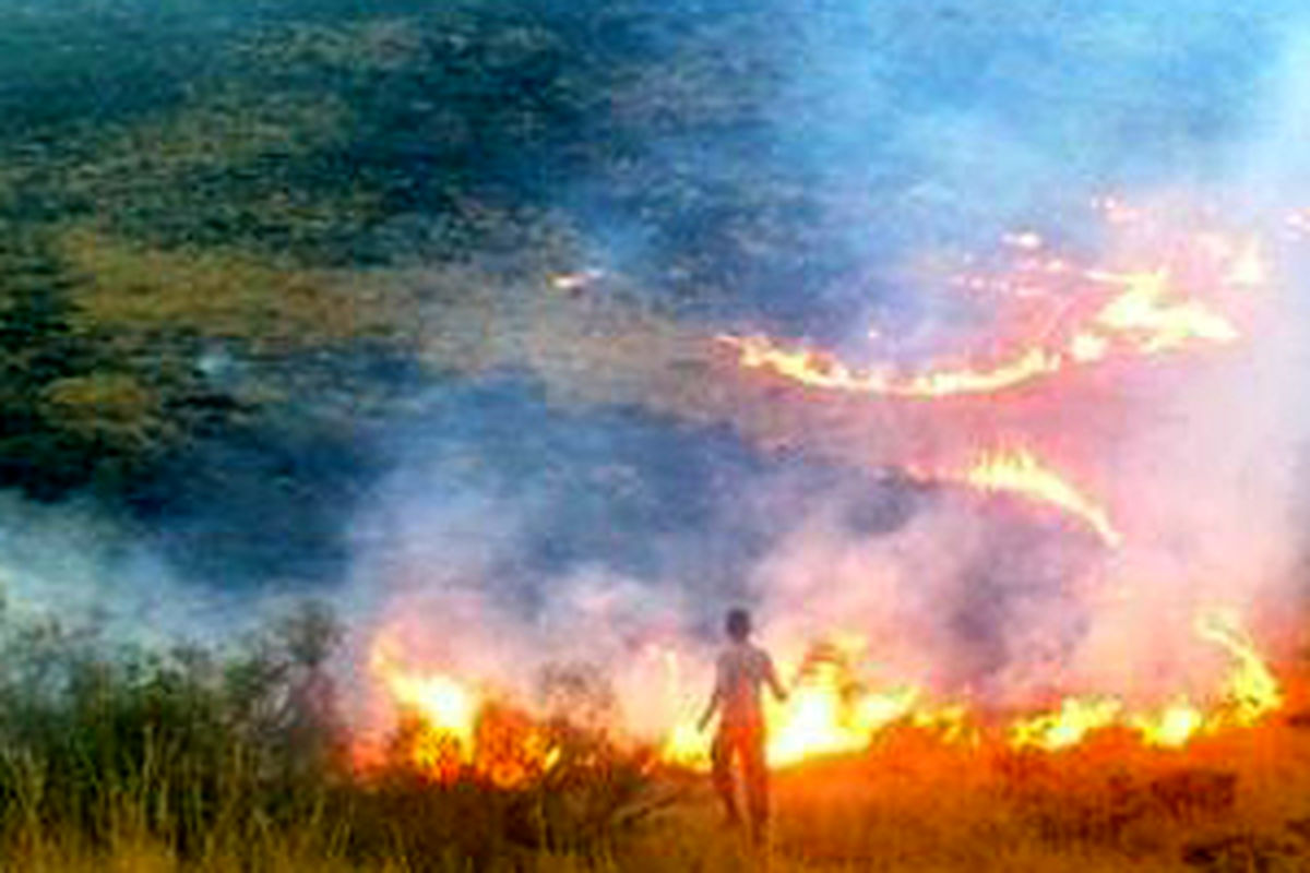 آتش سوزی در ۱۰ هکتار از مراتع دیناران اردل