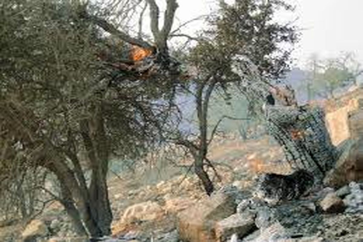 آتش سوزی مراتع و جنگل های کوه نیر از توابع شهرستان بویراحمد برای دومین بار مهار شد