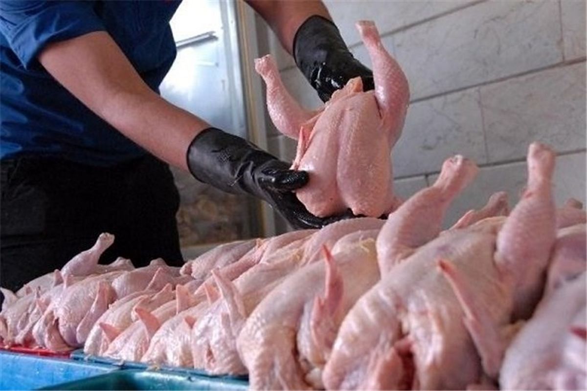افزایش ۴۰ درصدی  کشتار مرغ در ایام تعطیلات