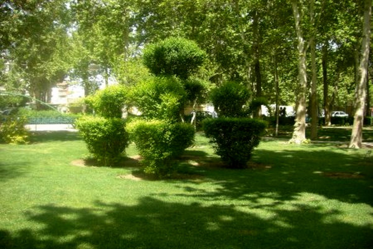 ۴۶درصد فضای سبز اصفهان در معرض خشکسالی