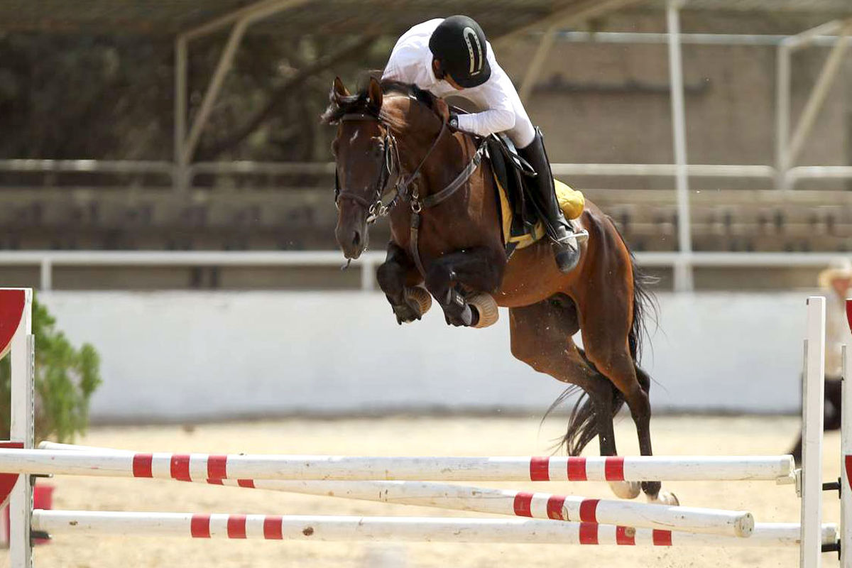 رقابت‌های بین‌المللی پرش با اسب برگزار شد