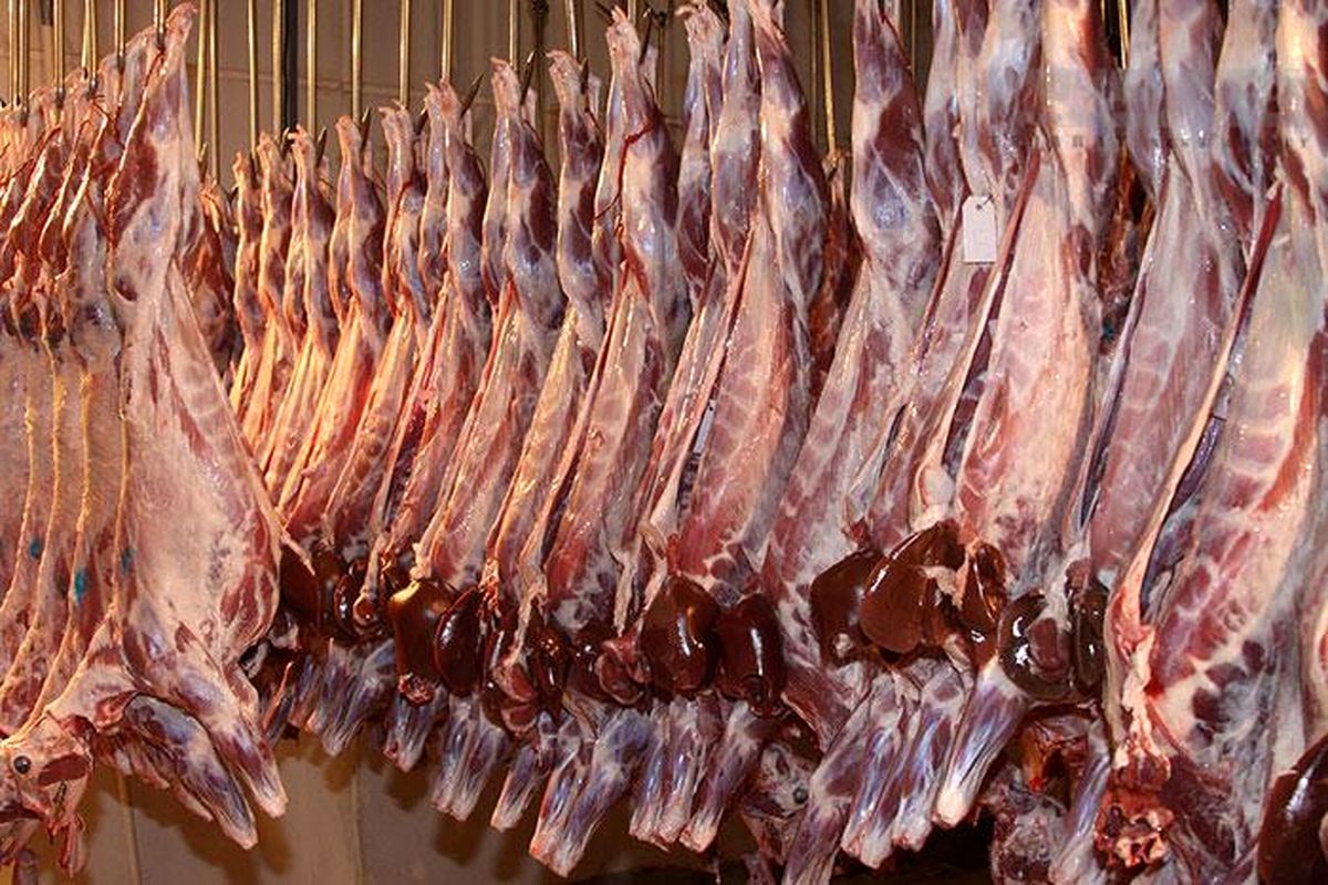 توافق صادرات گوشت و ماهی از روسیه به ایران نهایی شد