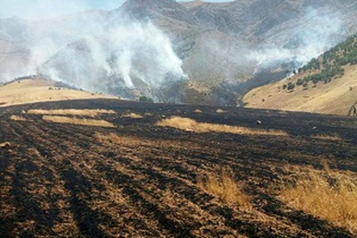 آتش سوزی در مراتع، جنگل و مزارع روستای بردبر لردگان
