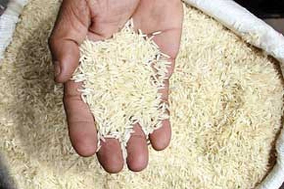 خرید نهاده های کشاورزی به نرخ آزاد عامل گرانی برنج ایرانی