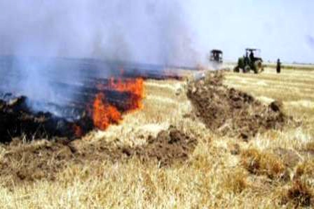 کشاورزان از آتش زدن باقی مانده محصول زراعی خودداری کنند