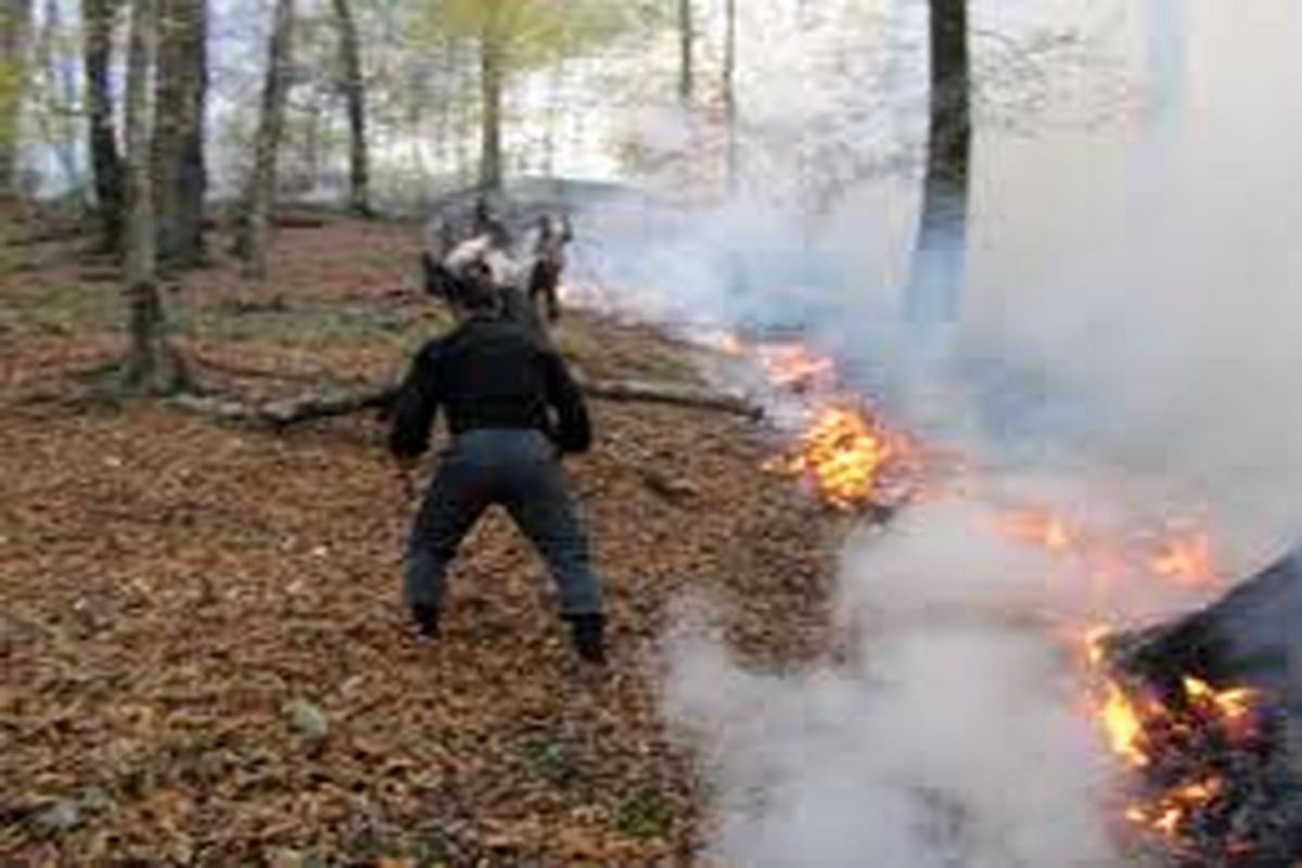 آتش سوزی مراتع و جنگل های کوه نیر