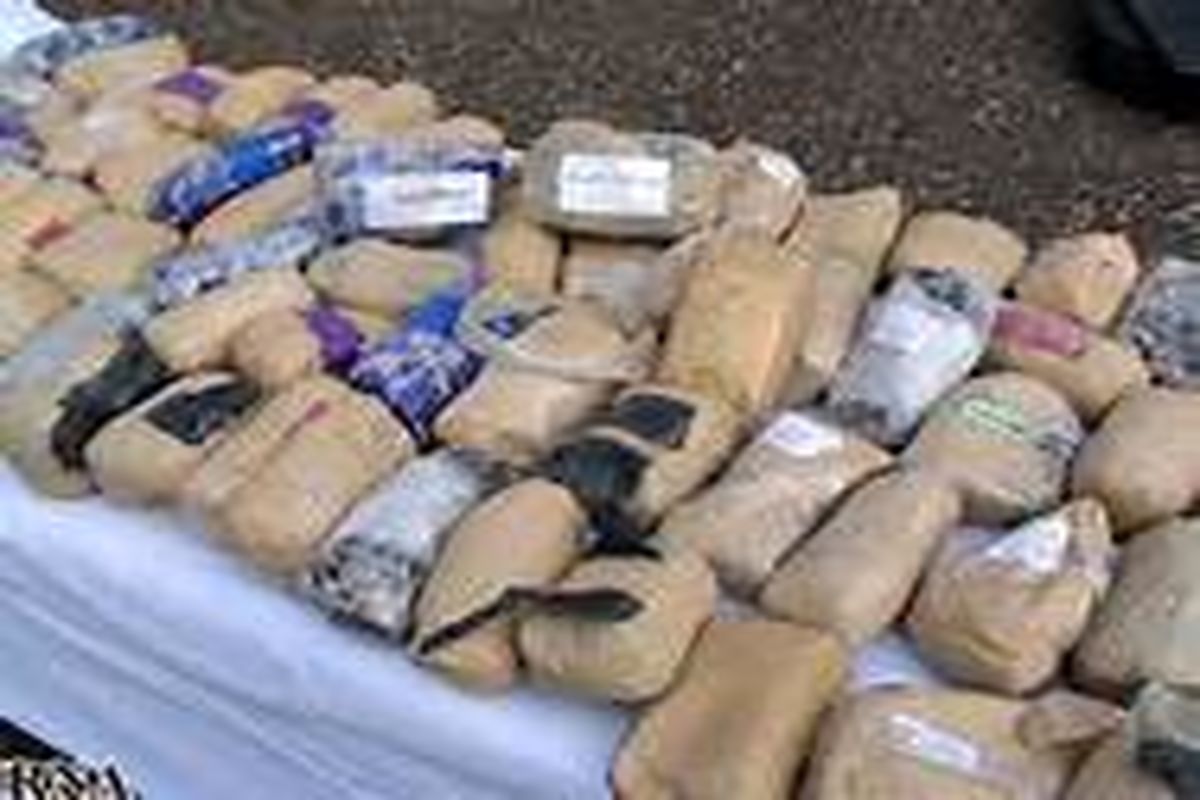 کشف سه کیلوگرم هروئین فشرده در مرز تایباد