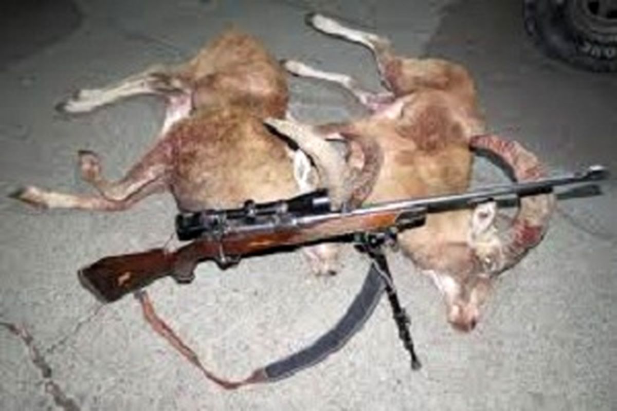 دستگیری دو متخلف شکار غیرمجاز در منطقه شکار ممنوع خدا آفرین اردل