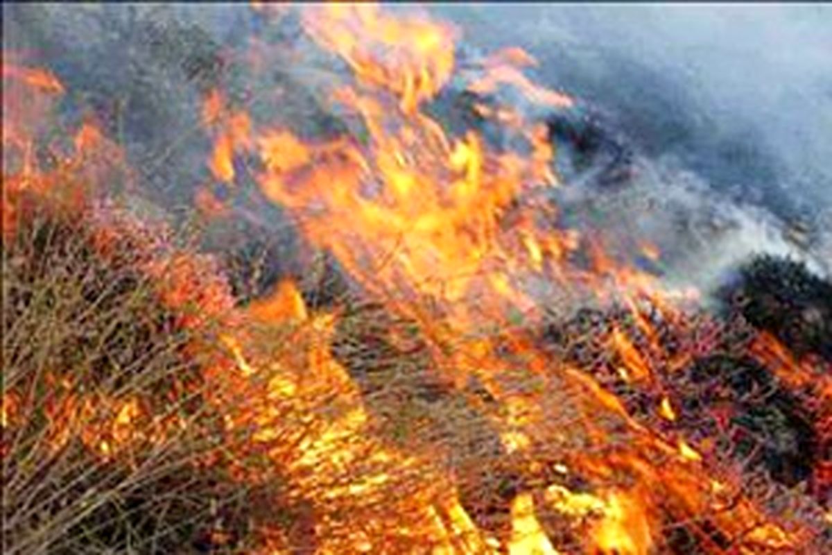 آتش سوزی در مراتع منطقه پلاک چاله گاه لردگان