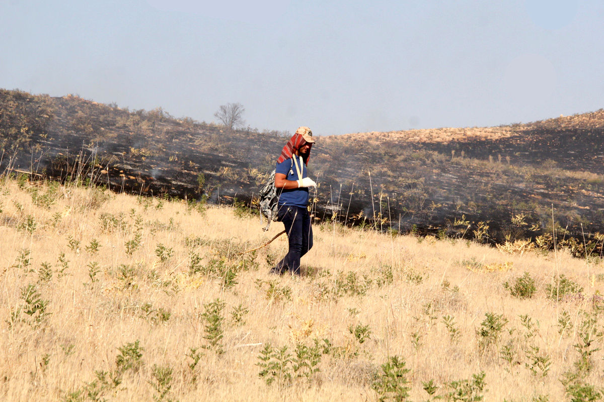 خسارت ۶۰۰ میلیون ریالی آتش‌سوزی به جنگل گیان