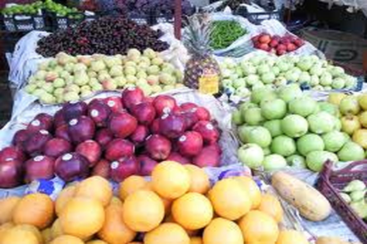 صادرات روزانه ۵۰۰ تن میوه از میدان میوه و تره بار شهرداری ارومیه