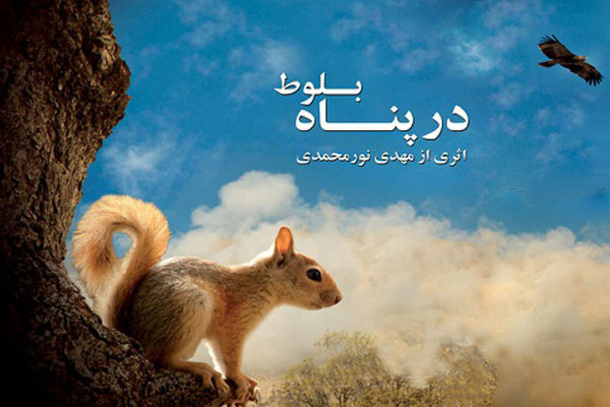 مستندی ایرانی در جشنواره بین‌المللی بلژیک