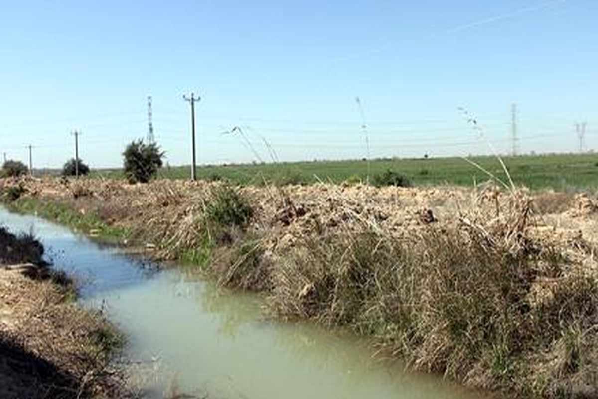کانالهای کشاورزی سنتی یکی از عوامل هدر رفت آب در اراضی کشاورزی شهرسرابله