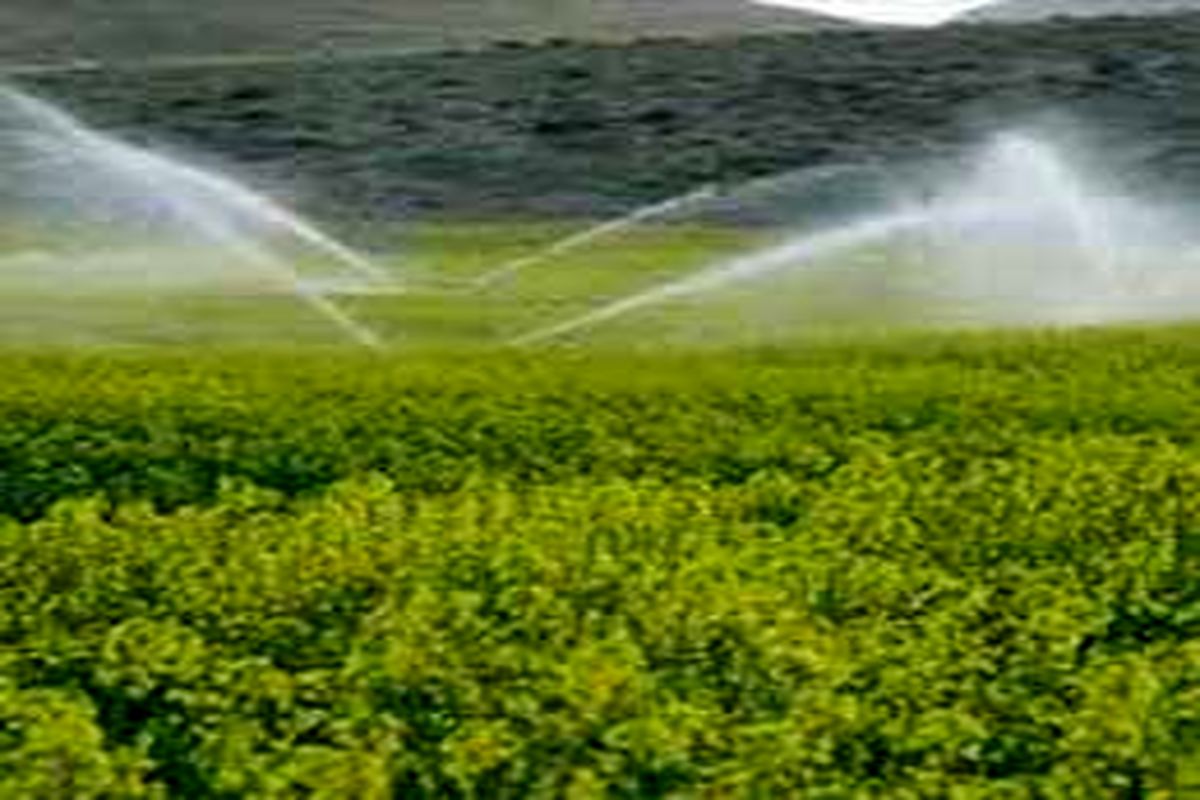 پیش‌بینی تجهیز ۸ هزار هکتار از اراضی کشاورزی استان به سیستم آبیاری نوین