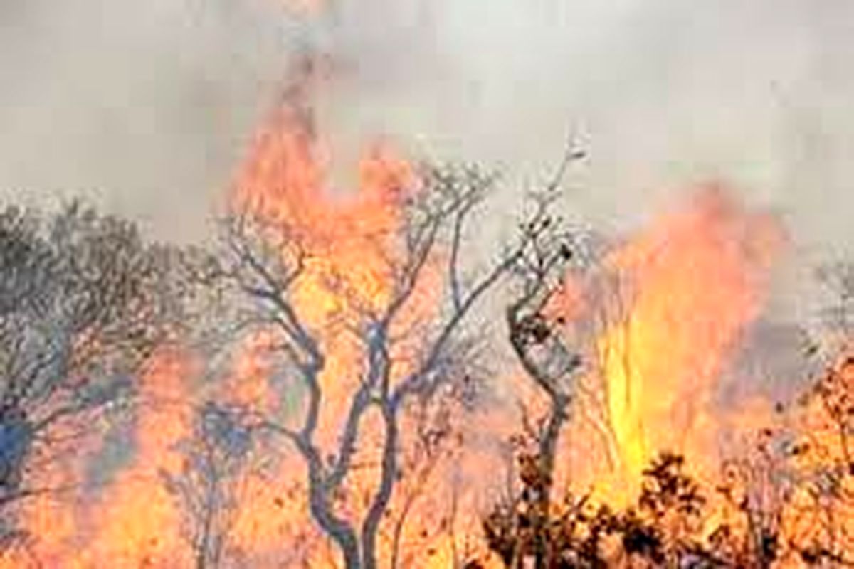 مهار آتش سوزی مراتع و جنگلهای آب حیات