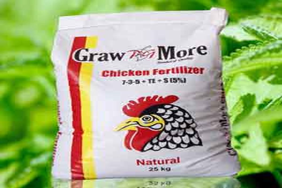 یک سال حبس تعزیری مجازات حمل غیر مجاز کود مرغی