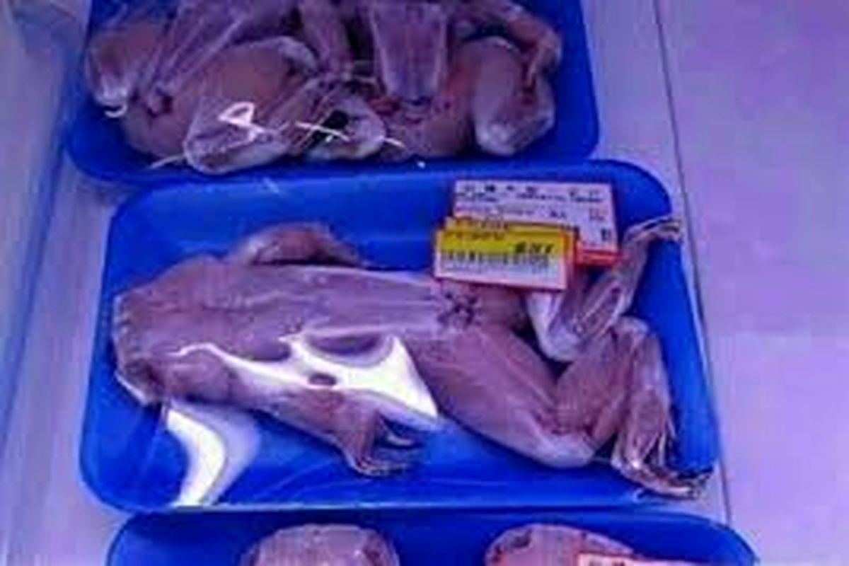 تکذیب فروش گوشت قورباغه در تهران