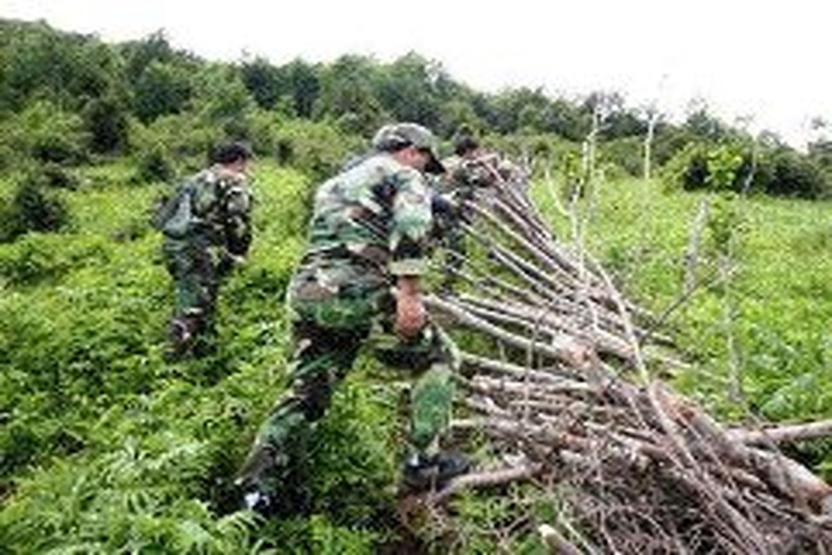 کوتاه شدن دست زمین خواران در آستارا