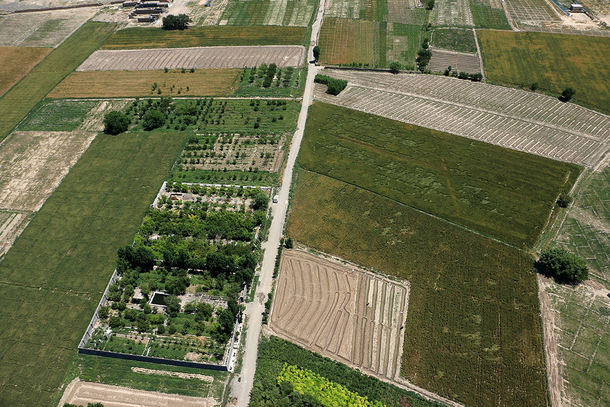 دریافت اسناد مالکیت ۱۳۵ هکتار از اراضی ملی