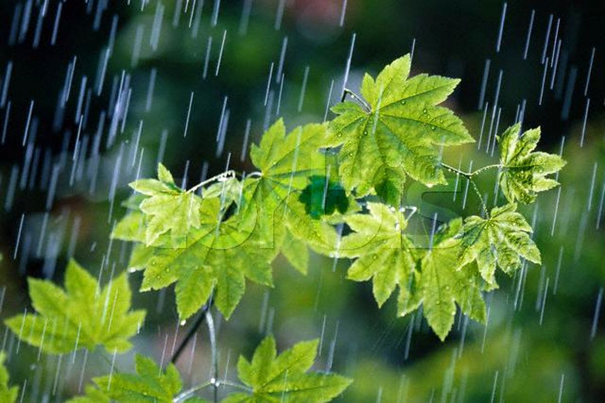 بارش باران استان ایلام را فرا گرفت