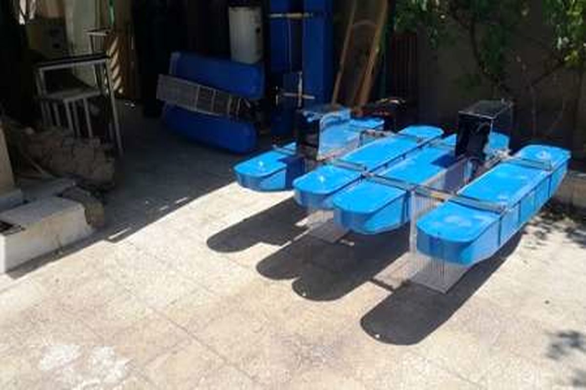 ۲۰ استخر ۲منظوره پرورش ماهی در شهرستان زهک به دستگاه هواده مجهز شدند
