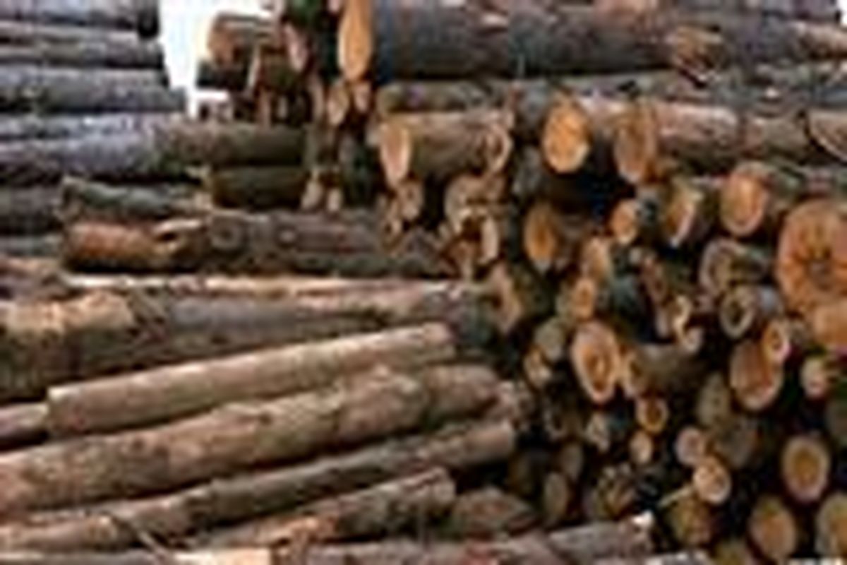 کشف و ضبط  ۱۱۵اصله چوب‌آلات قاچاق جنگلی در اردبیل