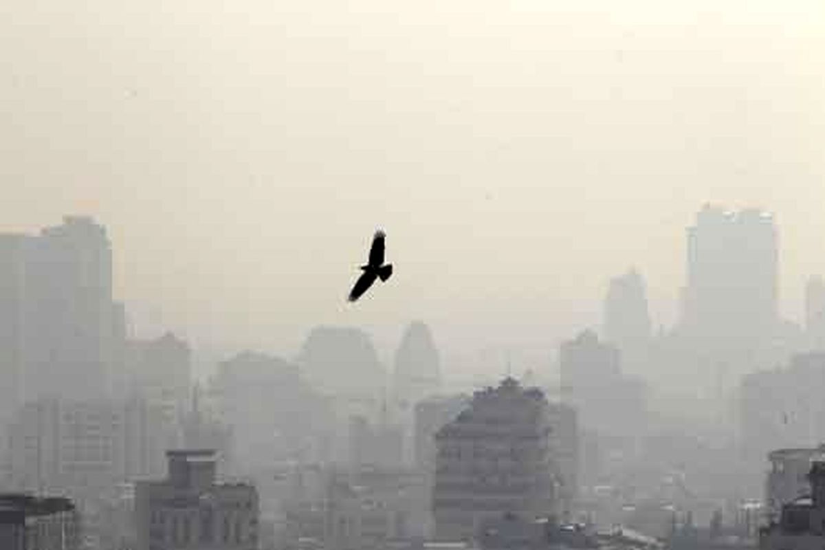آلودگی هوا در کردستان به ۲.۵ برابر حد مجاز رسید