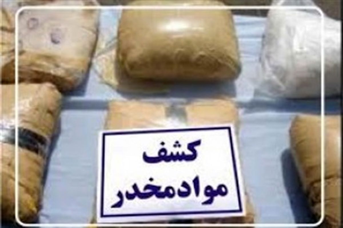 کشف و امحاء ۱۰۰ بوته مخدر ماری جوانا در گرمه