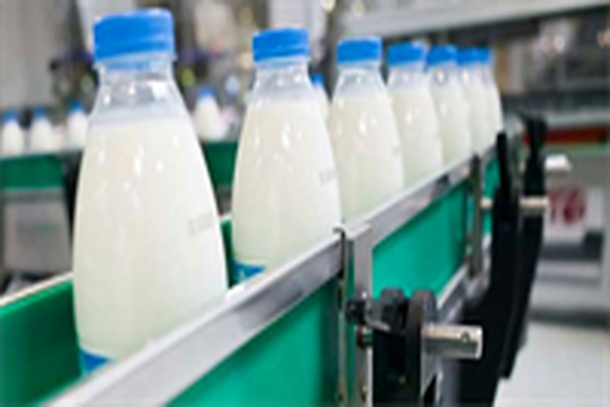 پیش بینی تولید بیش از۱۰۰هزار تن شیر خام در خراسان‌جنوبی