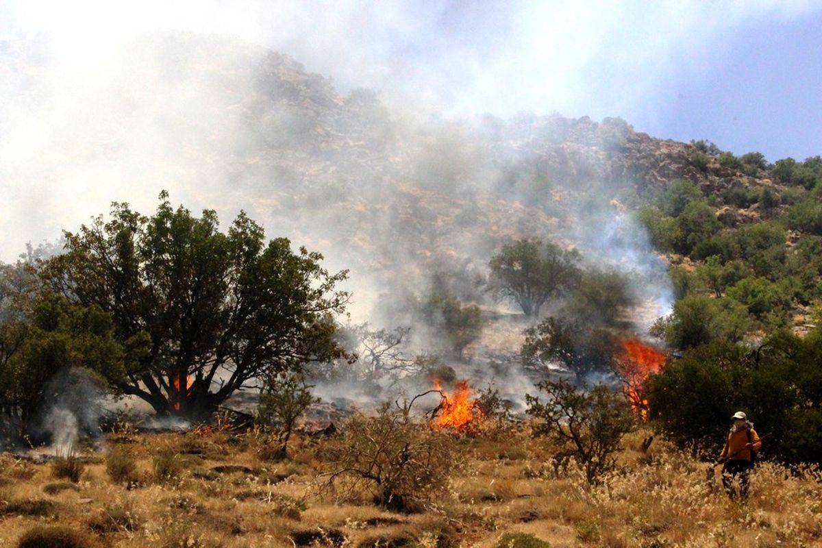 آتش سوزی منطقه چاه بید شهرستان پاسارگاد  با کمک مردم مهار شد