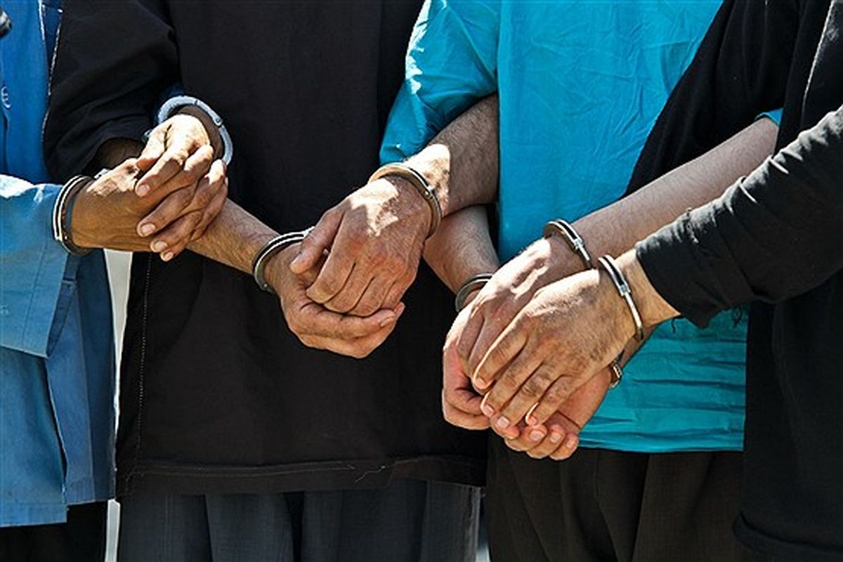 شناسایی ۱۵۳ سارق در پایتخت