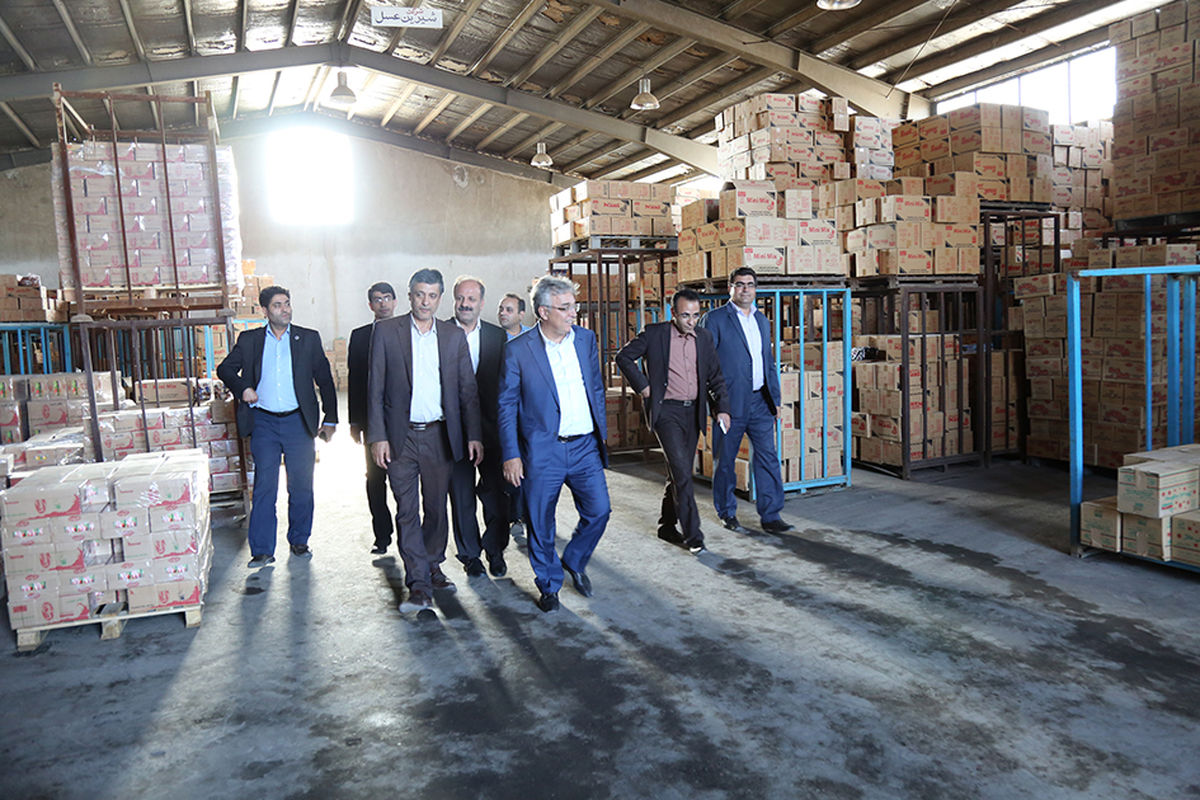 کارآفرین برتر کشور برای توسعه بازار محصولات کشاورزی کرمان اعلام آمادگی کرد