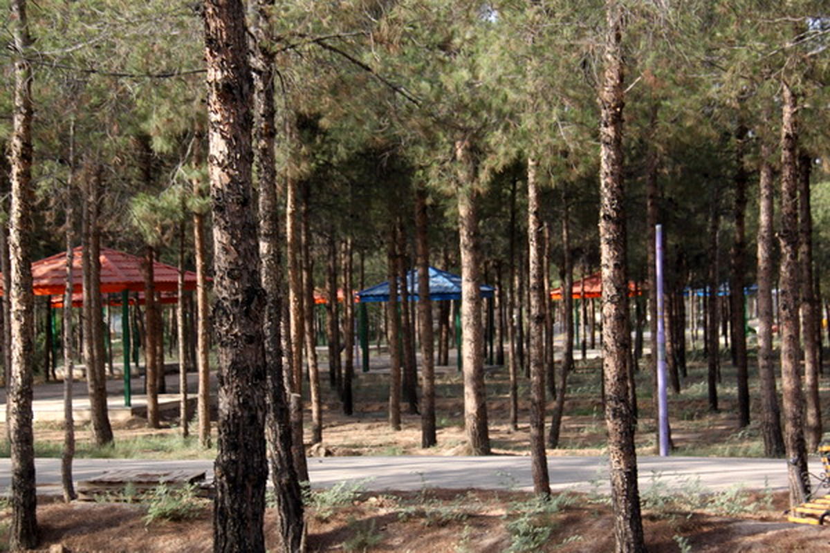 تبدیل بوستان غدیر به پارک اصلی شهر قم