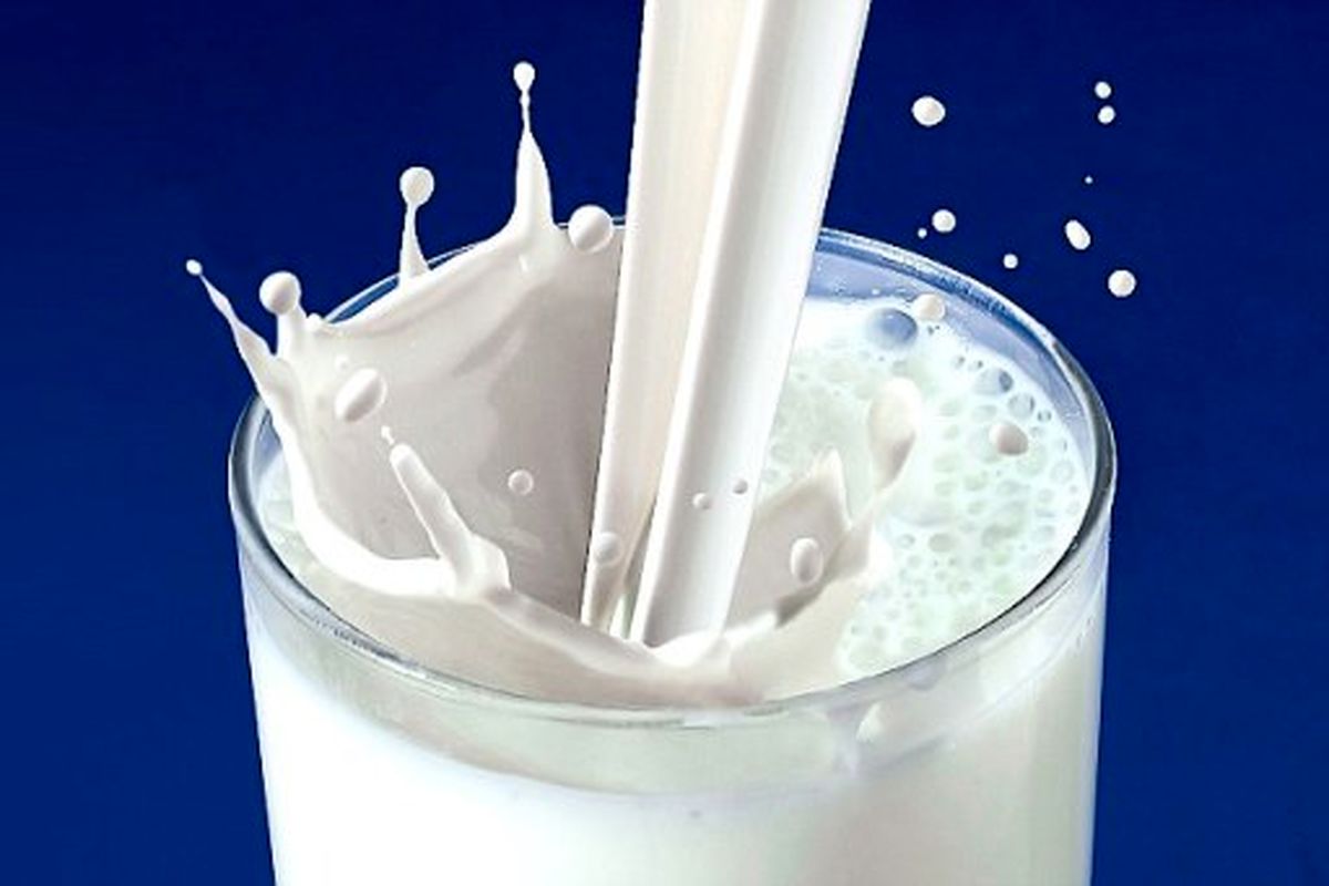توزیع شیر رایگان در مدارس خراسان‌شمالی نیمه دوم آبان آغاز می شود