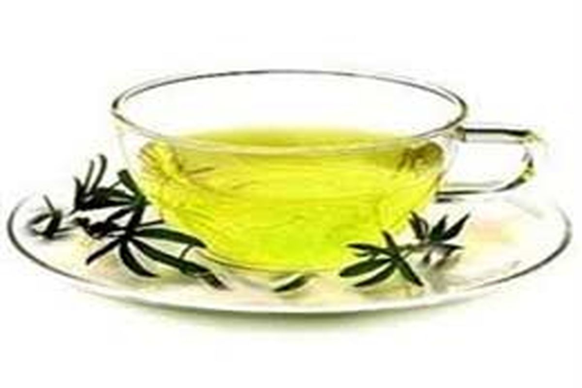 چای سبز باعث سوخت و ساز بیشتر بدن