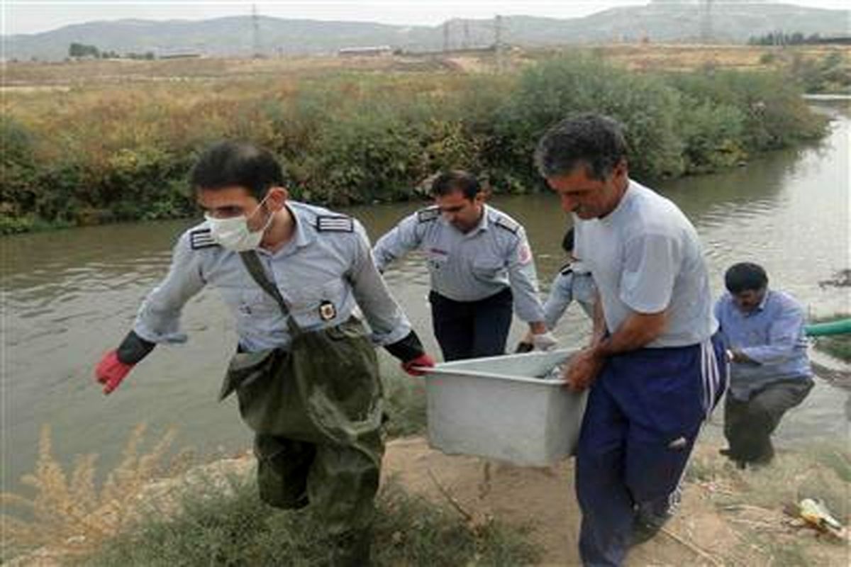 کشف یک جسد در رودخانه روستای" وره  ده" خرم آباد