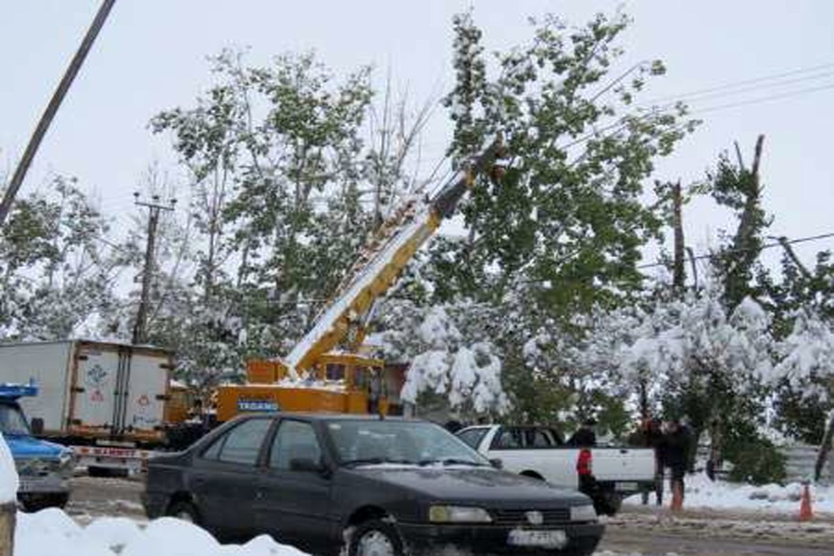 برف یک میلیارد ریال به شبکه برق شهرستان نیر آسیب زد