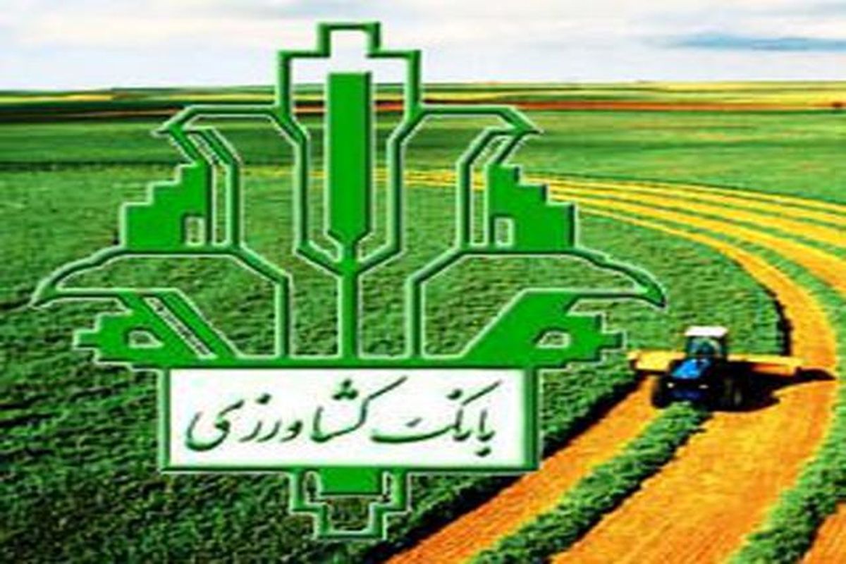 پرداخت کامل مطالبات گندمکاران استان آذربایجان شرقی توسط بانک کشاورزی