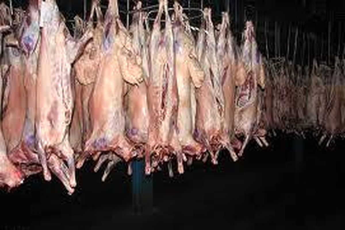 کشف و ضبط بیش از ۷۵۰۰ راس  دام و ۲۶۰۰۰ هزار قطعه طیور زنده قاچاق در خراسان رضوی