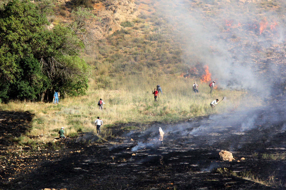 نیزارهای تالاب زریوار بار دیگر در آتش سوخت