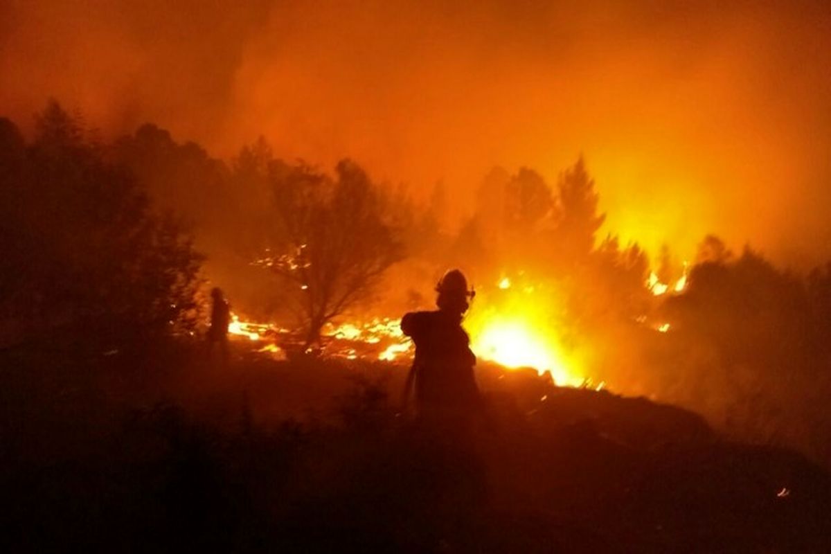فرار هزاران صهیونیست از آتش سوزی گسترده