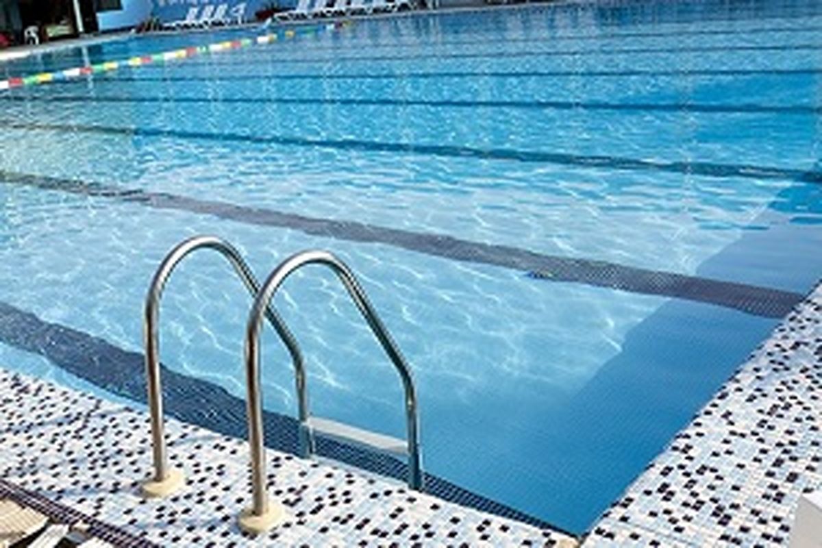 بانوان شناگر قزوینی قهرمان شدند