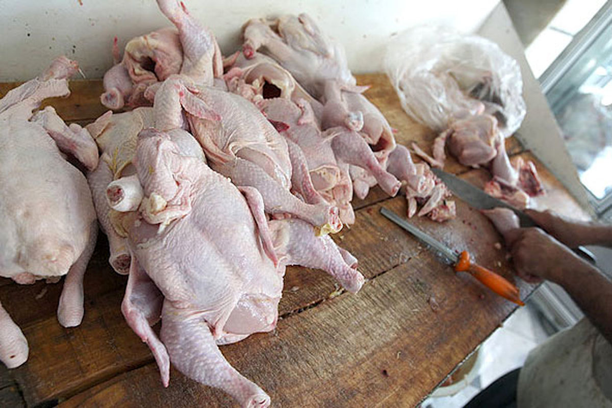 کشف یک تن مرغ غیر بهداشتی در کرمان